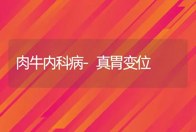 肉牛内科病-真胃变位 | 动物养殖