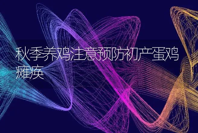 秋季养鸡注意预防初产蛋鸡瘫痪 | 动物养殖