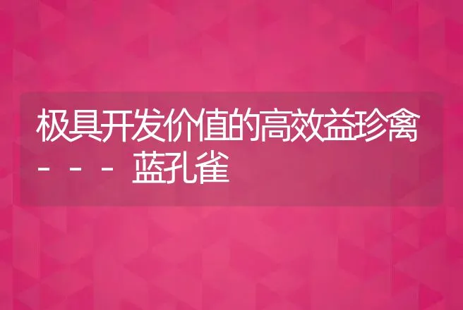 极具开发价值的高效益珍禽---蓝孔雀 | 动物养殖