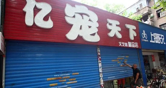 宠物店凌晨被偷70多条狗损失34万元 | 宠物新闻资讯