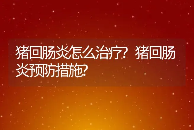 猪回肠炎怎么治疗?猪回肠炎预防措施? | 兽医知识大全