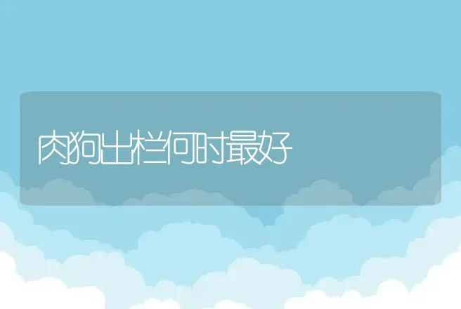 改良底质在对虾养殖中的意义和实际操作方法 | 动物养殖