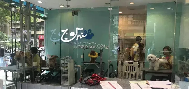 开宠物店不知道怎么选地址，生意兴隆的宠物店都开在哪里？ | 宠物行业洞察