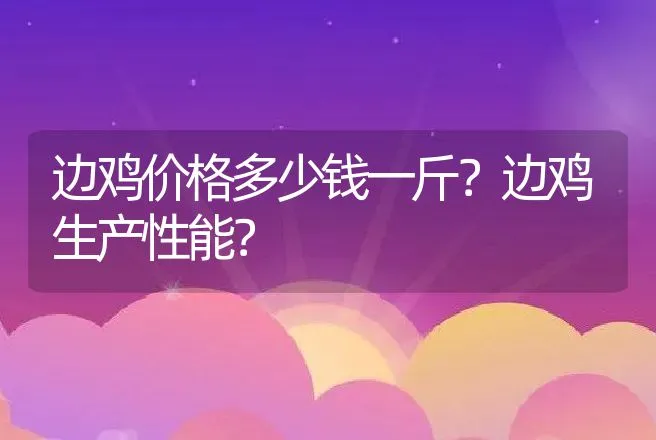 边鸡价格多少钱一斤？边鸡生产性能？ | 动物养殖