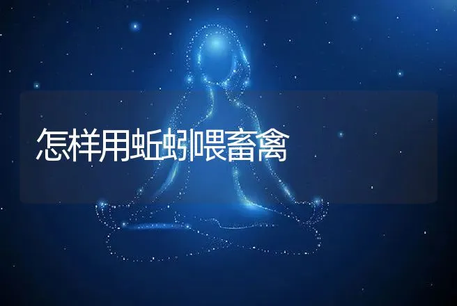 怎样用蚯蚓喂畜禽 | 动物养殖