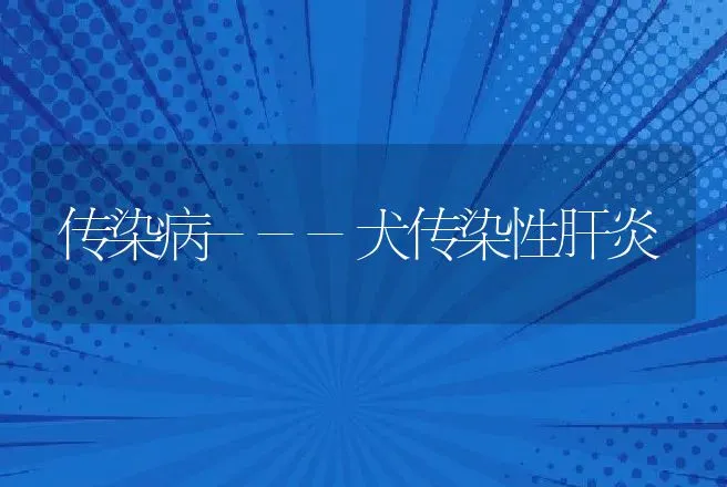 传染病---犬传染性肝炎 | 动物养殖