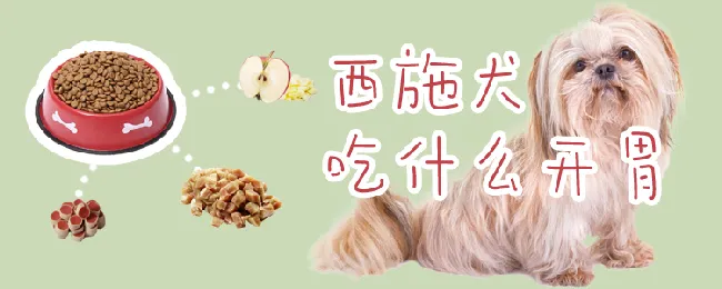 西施犬吃什么开胃 | 宠物病虫害防治