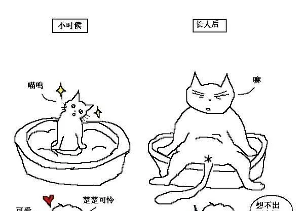 猫咪行为图解:养过猫的都懂 | 宠物喂养知识