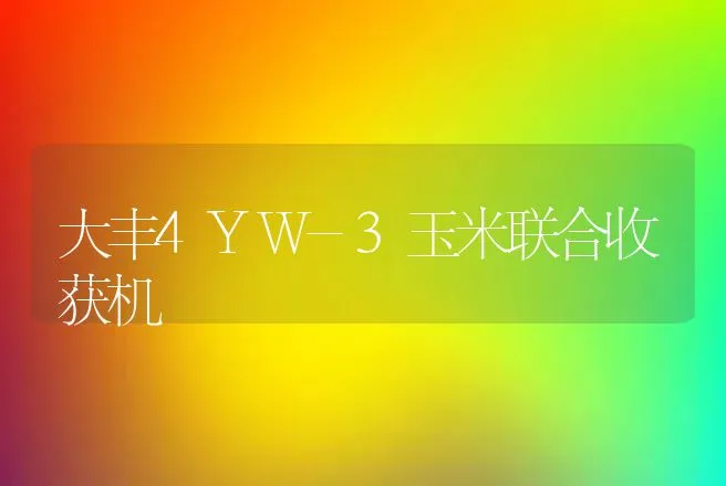 大丰4YW-3玉米联合收获机 | 养殖