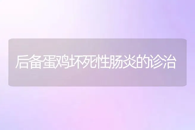 后备蛋鸡坏死性肠炎的诊治 | 兽医知识大全