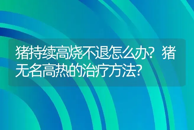 猪持续高烧不退怎么办?猪无名高热的治疗方法？ | 兽医知识大全