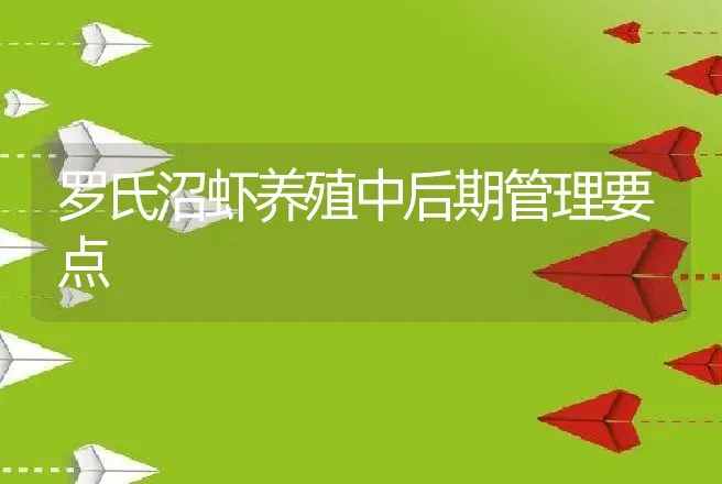 罗氏沼虾养殖中后期管理要点 | 动物养殖