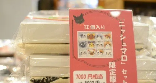 和猫咪有关的杂货店 | 宠物猫图片