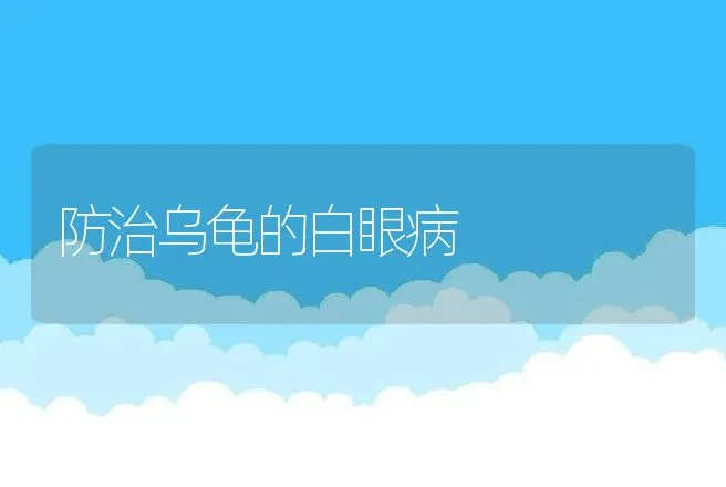 防治乌龟的白眼病 | 动物养殖