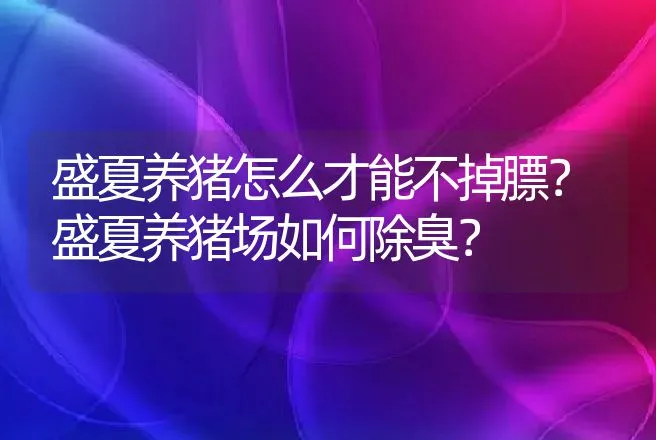 盛夏养猪怎么才能不掉膘？盛夏养猪场如何除臭？ | 家畜养殖