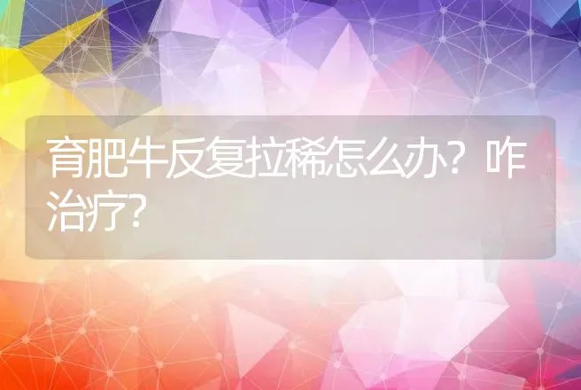 育肥牛反复拉稀怎么办？咋治疗？ | 兽医知识大全