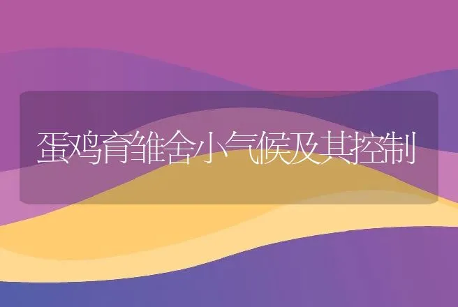 蛋鸡育雏舍小气候及其控制 | 动物养殖