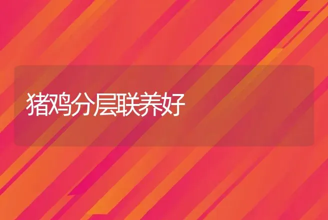猪鸡分层联养好 | 动物养殖
