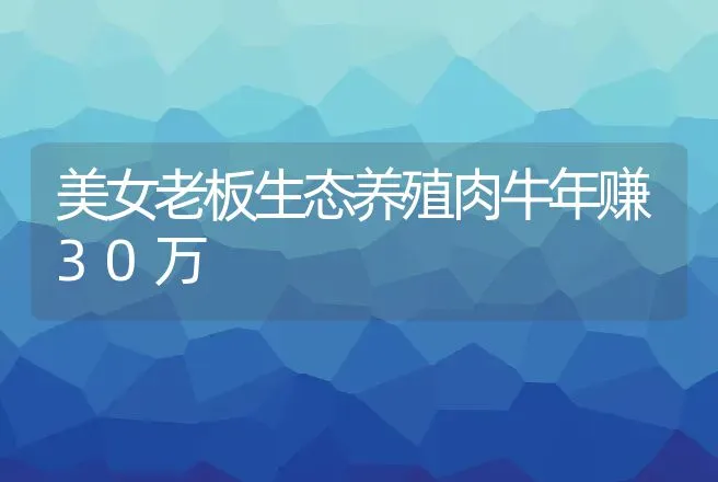 美女老板生态养殖肉牛年赚30万 | 家畜养殖