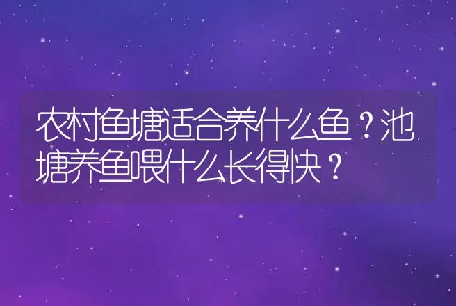 农村鱼塘适合养什么鱼？池塘养鱼喂什么长得快？ | 水产知识