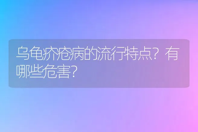 乌龟疥疮病的流行特点？有哪些危害？ | 兽医知识大全