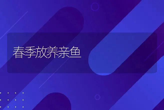 春季放养亲鱼 | 动物养殖