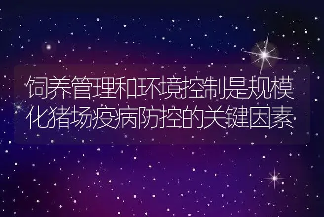 饲养管理和环境控制是规模化猪场疫病防控的关键因素 | 家畜养殖