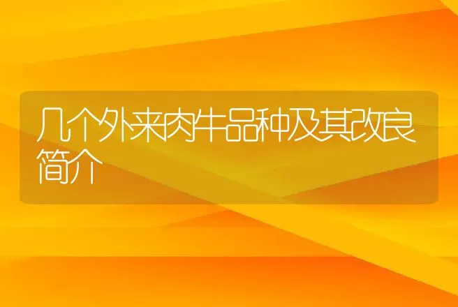 几个外来肉牛品种及其改良简介 | 动物养殖