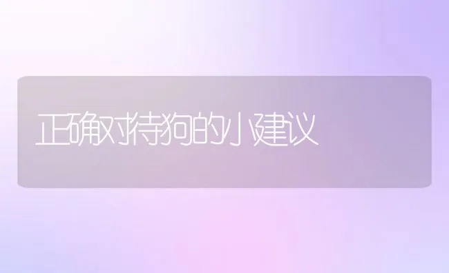 正确对待狗的小建议 | 宠物病虫害