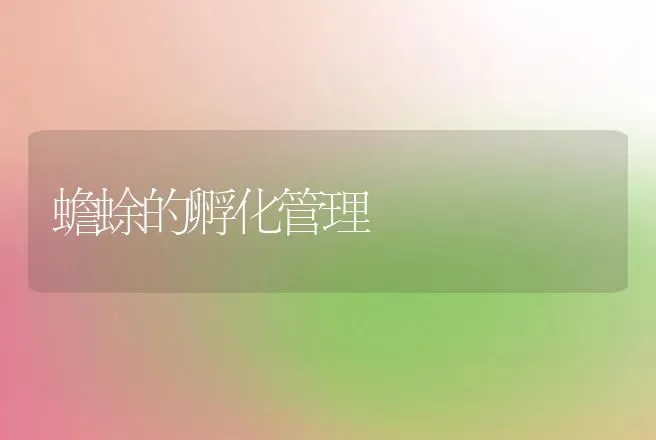 蟾蜍的孵化管理 | 动物养殖