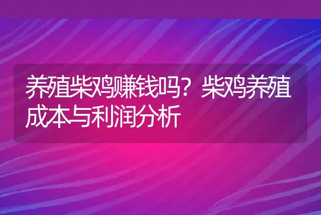 养殖柴鸡赚钱吗？柴鸡养殖成本与利润分析 | 家禽养殖