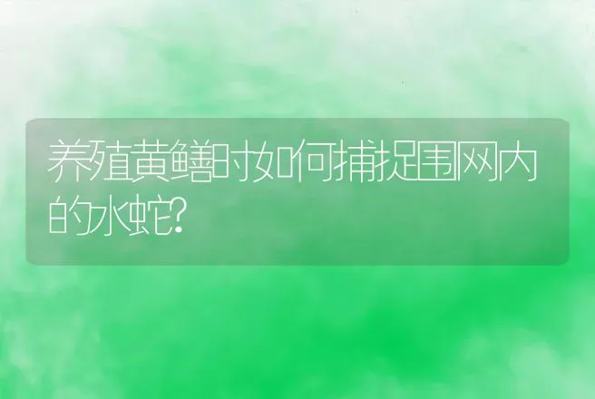 养殖黄鳝时如何捕捉围网内的水蛇? | 特种养殖