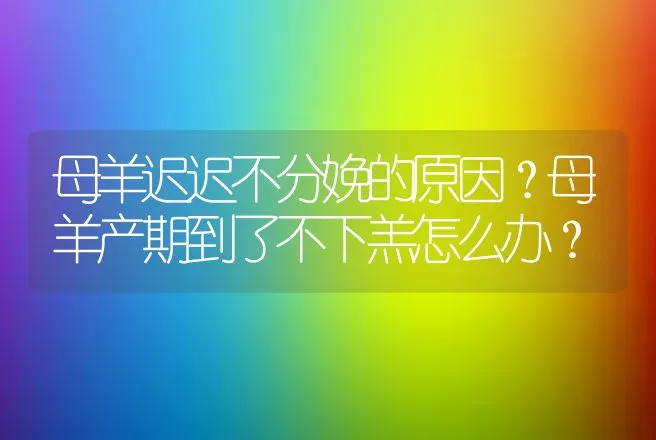 母羊迟迟不分娩的原因？母羊产期到了不下羔怎么办？ | 兽医知识大全