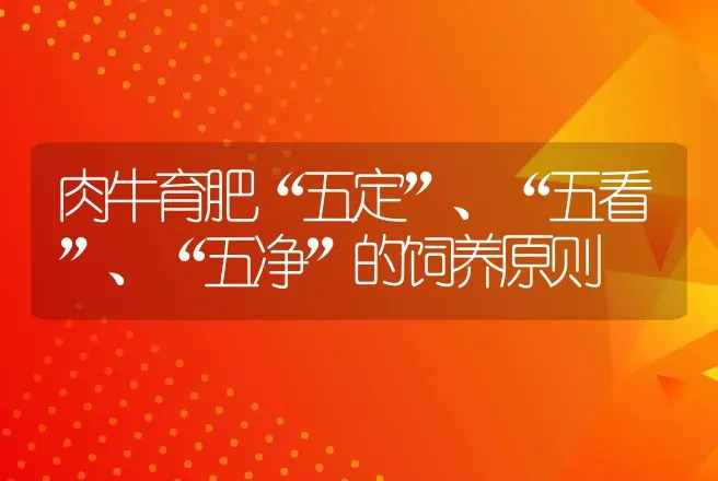 肉牛育肥“五定”、“五看”、“五净”的饲养原则 | 家畜养殖