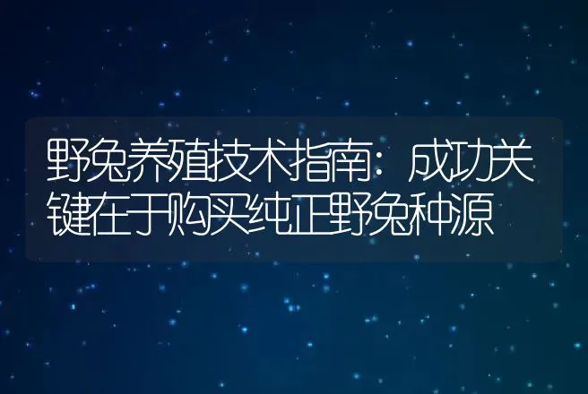 野兔养殖技术指南:成功关键在于购买纯正野兔种源 | 动物养殖