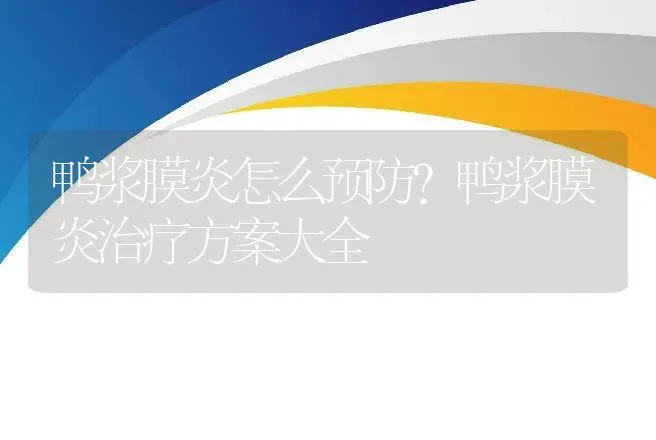 鸭浆膜炎怎么预防？鸭浆膜炎治疗方案大全 | 兽医知识大全