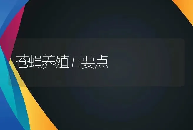 苍蝇养殖五要点 | 动物养殖