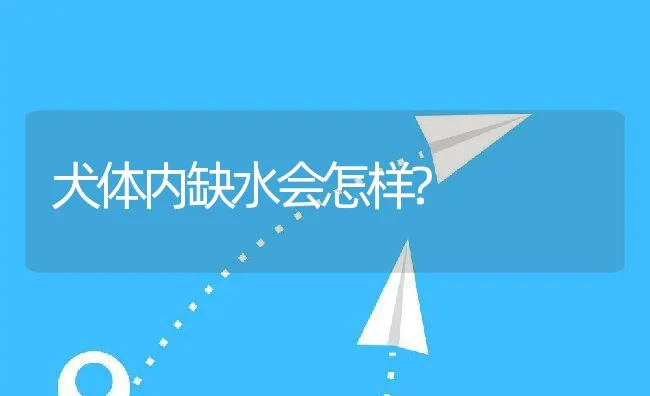 犬体内缺水会怎样? | 宠物猫