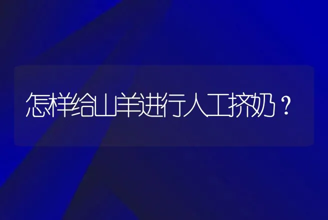 怎样给山羊进行人工挤奶？ | 动物养殖