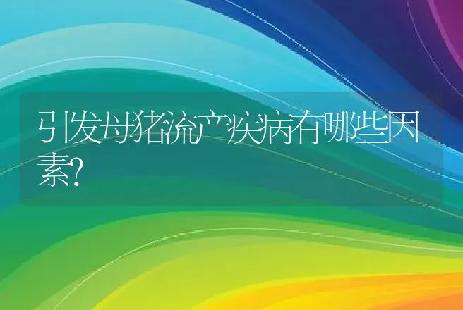 引发母猪流产疾病有哪些因素？ | 家畜养殖