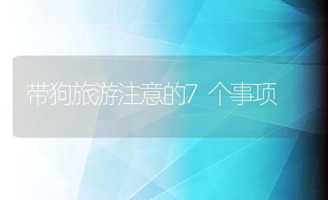 带狗旅游注意的7个事项 | 宠物病虫害