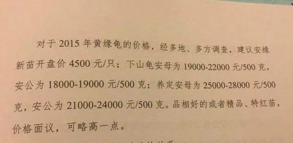 2015黄缘龟苗的开盘价格出来了建议4500元 | 宠物乌龟饲养