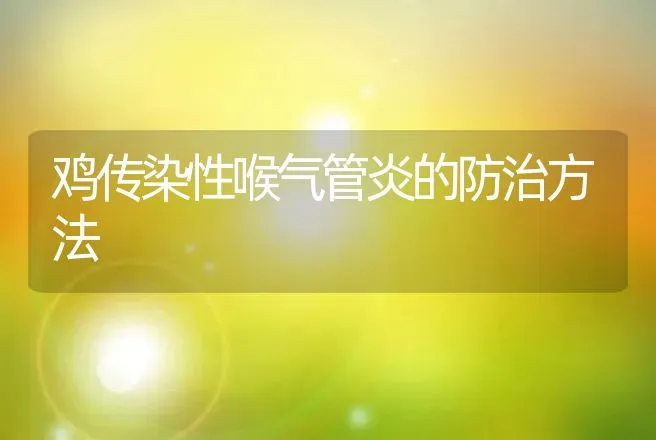 鸡传染性喉气管炎的防治方法 | 动物养殖