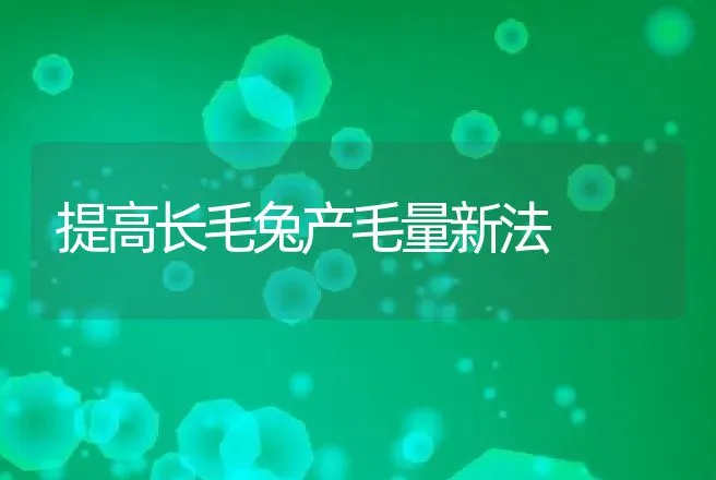 提高长毛兔产毛量新法 | 动物养殖