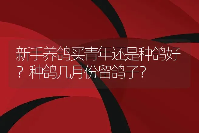 良凤花鸡产蛋如何？良凤花鸡的养殖技术？ | 家禽养殖