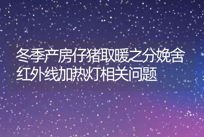 冬季产房仔猪取暖之分娩舍红外线加热灯相关问题 | 家畜养殖