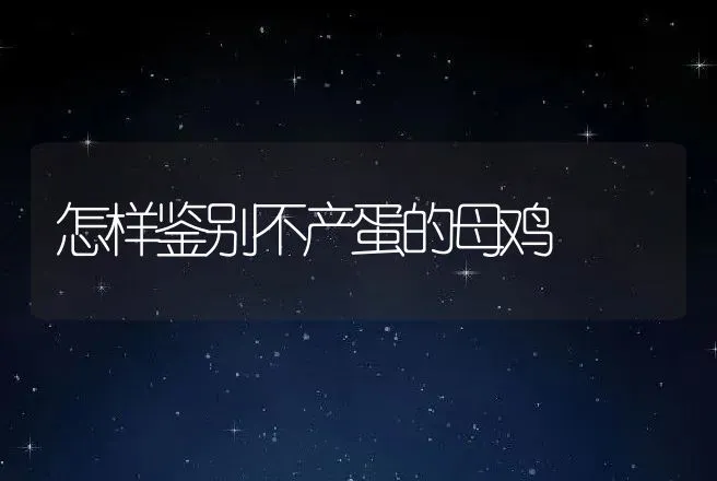 怎样鉴别不产蛋的母鸡 | 动物养殖