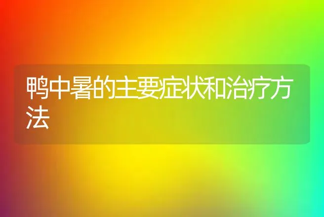 鸭中暑的主要症状和治疗方法 | 动物养殖