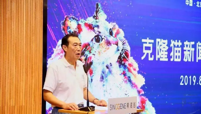 中国第一只克隆猫诞生 | 宠物新闻资讯