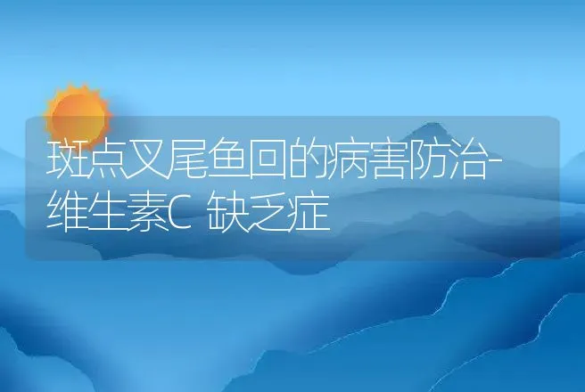 斑点叉尾鱼回的病害防治-维生素C缺乏症 | 动物养殖